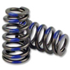 LS1, LS2, LS6 Competition Cams Beehive Ovate Valve Springs