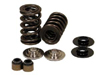 Ferrea LS7 ZO6 Double Valve Springs, Titanium Retainer Kit for GT19, GT21 Camshaft