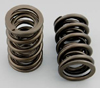 Competition Cams Hi Tech Endurance Valve Springs