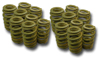 GM Performance Parts LS6 Valve Springs - set of 16
