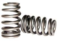 Valve Springs & Seals