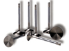 LPE Stainless Steel Valves SBC L98, LT1 2.00 dia - intake