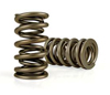 Competition Cams Dual Valve Springs LS9 ZR1 - More Details Competition Cams Dual Valve Springs LS9 ZR1 - More Details