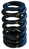 GM LS9 Valve Springs Matched Sets - More Details GM LS9 Valve Springs Matched Sets - More Details