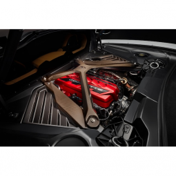 Engine Cross Brace in Visible Carbon Fiber with Jake Logo